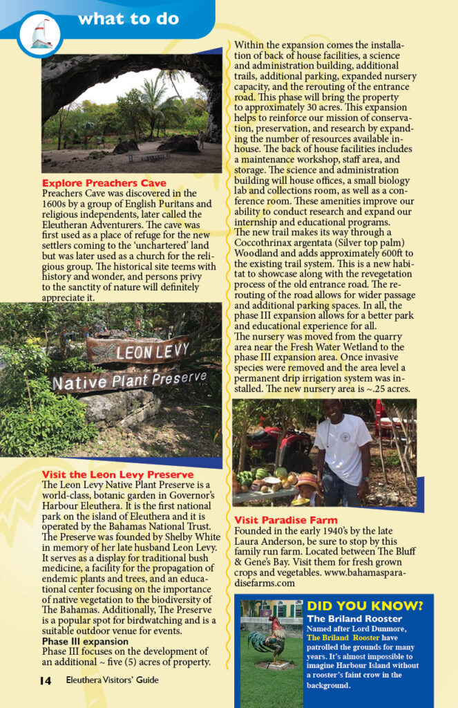 EleutheraVisitorsGuide.202614