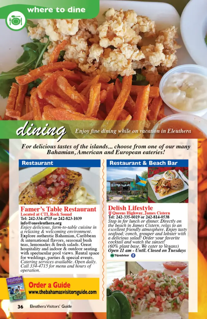 EleutheraVisitorsGuide.202636