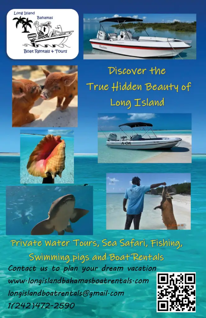 LongIslandVisitorsGuide.20262